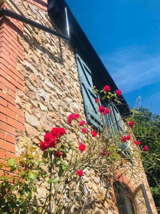 Burleyhayes Barn - Secluded Devon Hideaway. Vila Hemyock Exterior foto